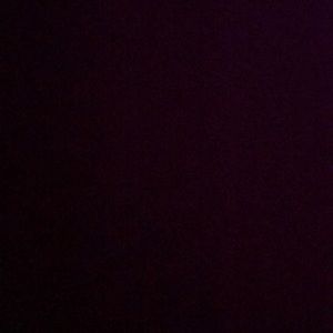 Meet your Posher, Noa